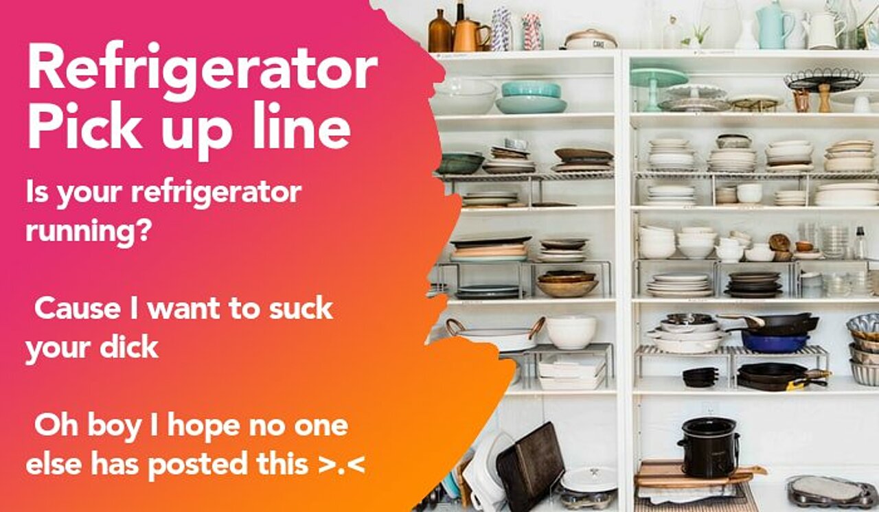 refrigerator pickup line