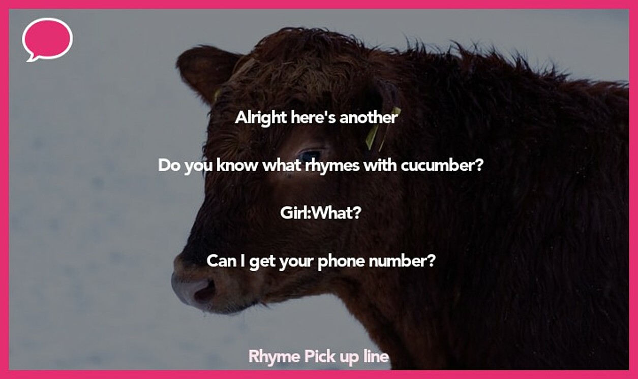 rhyme pickup line