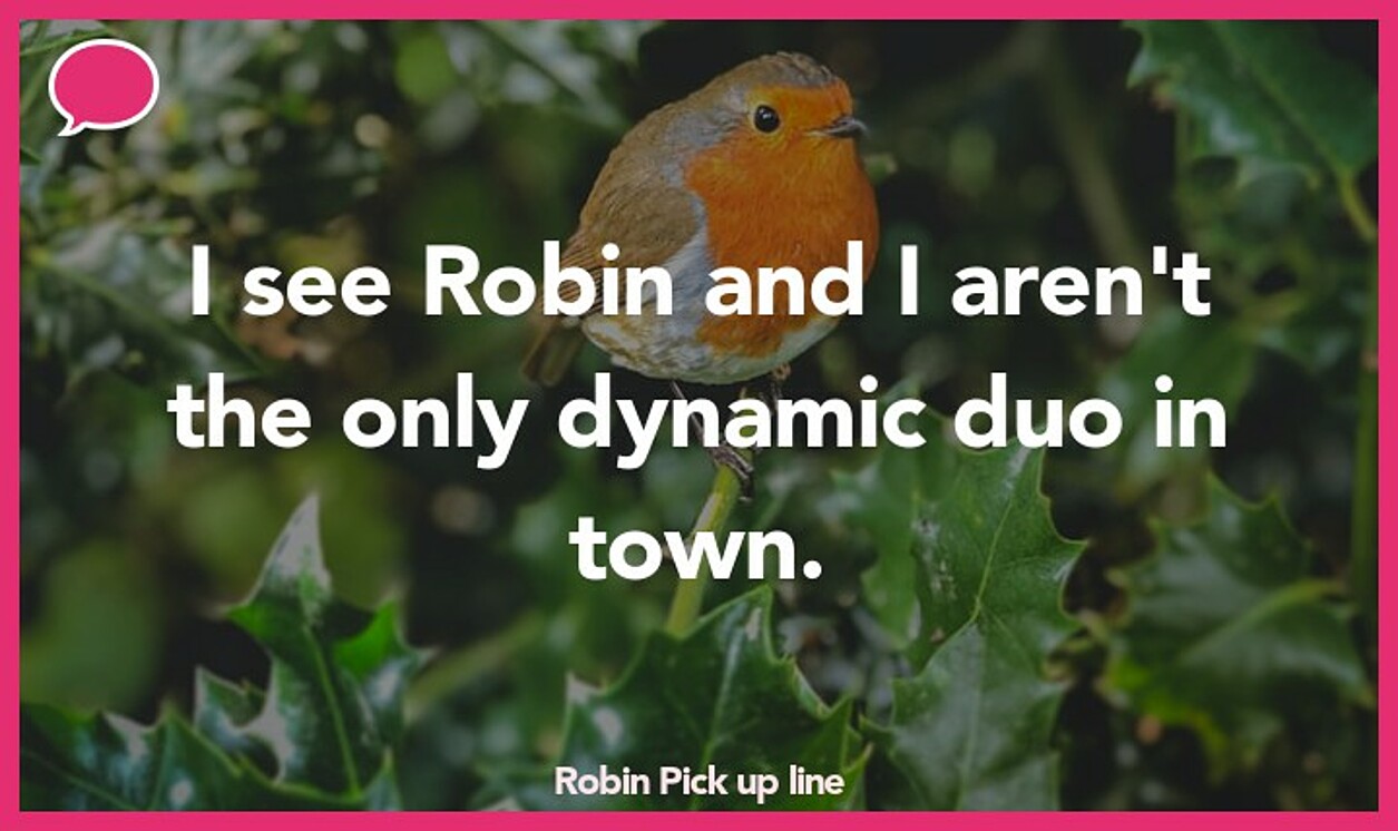robin pickup line