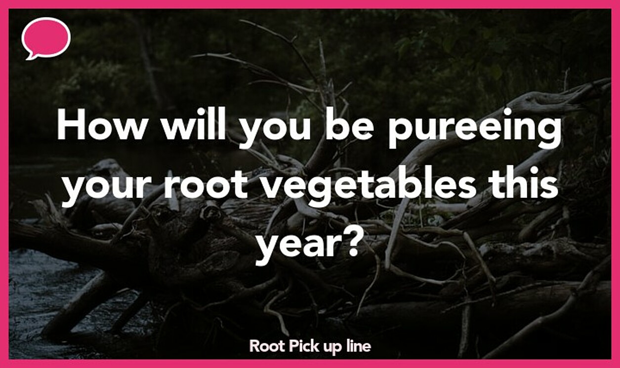 root pickup line