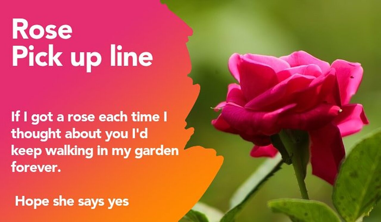 rose pickup line