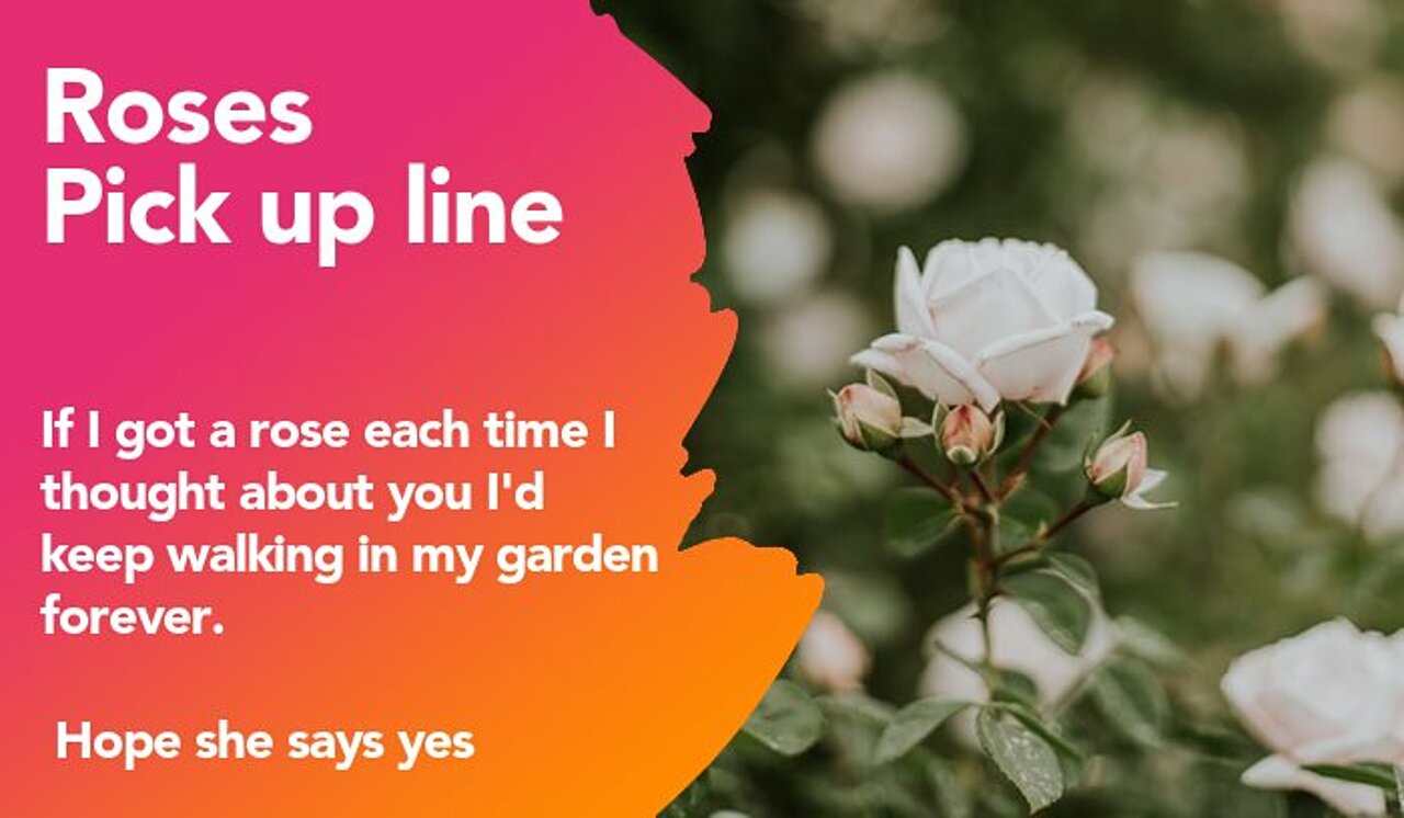 roses pickup line