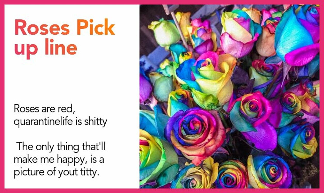 roses pickup line