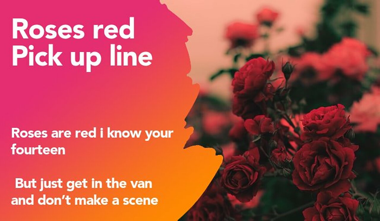 roses red pickup line