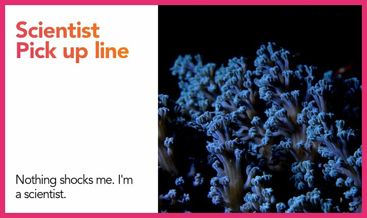 scientist pickup line