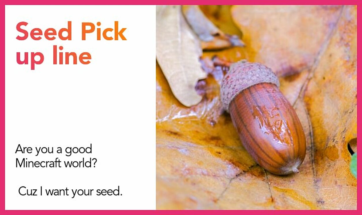 seed pickup line