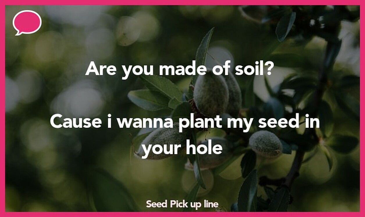 seed pickup line