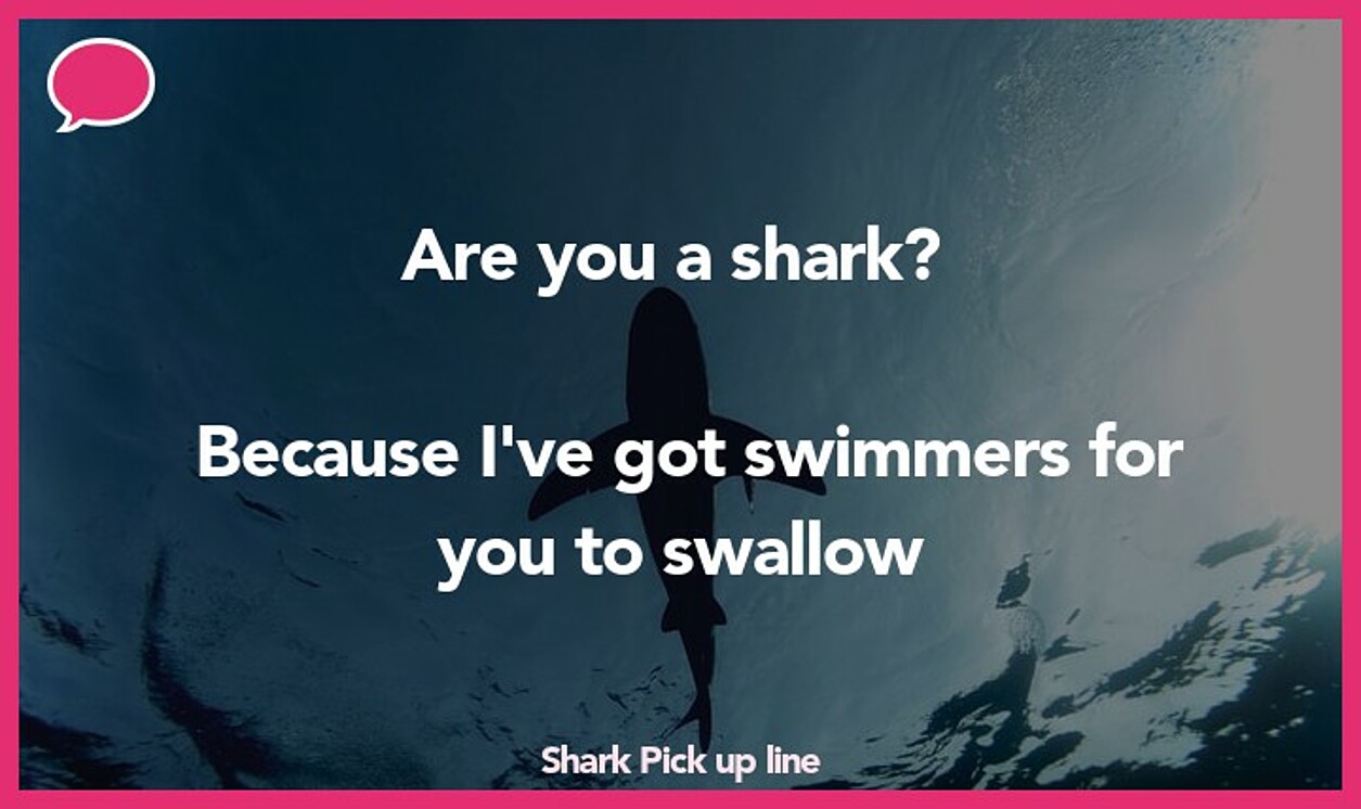 shark pickup line