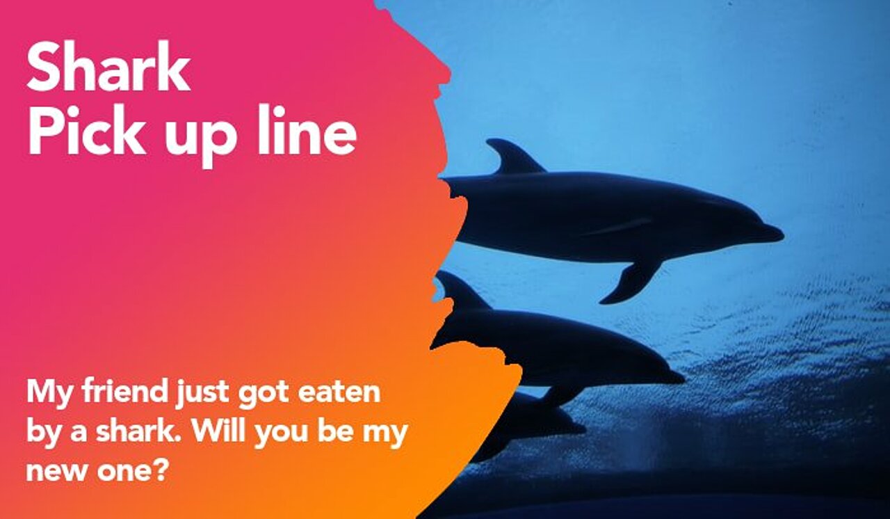 shark pickup line