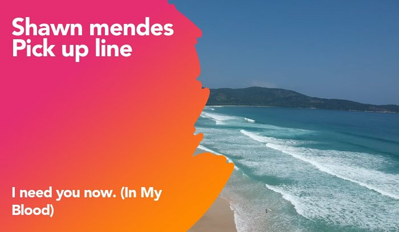 shawn mendes pickup line