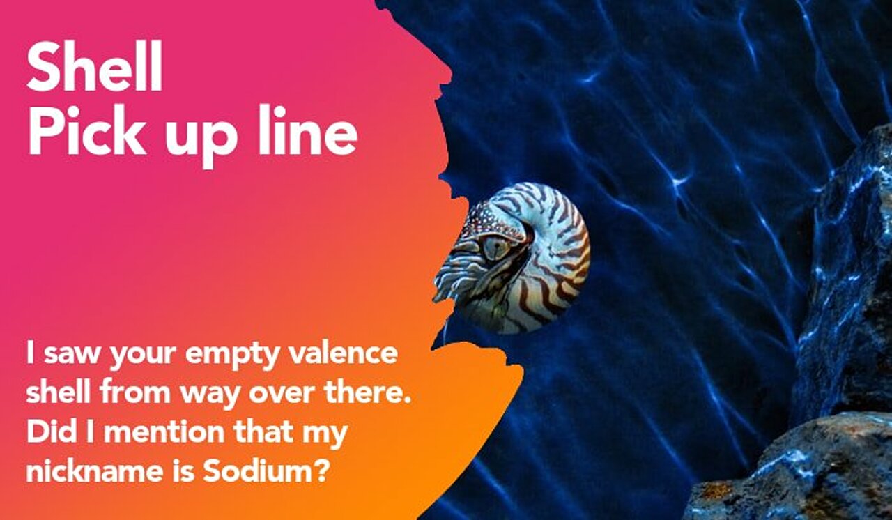 shell pickup line