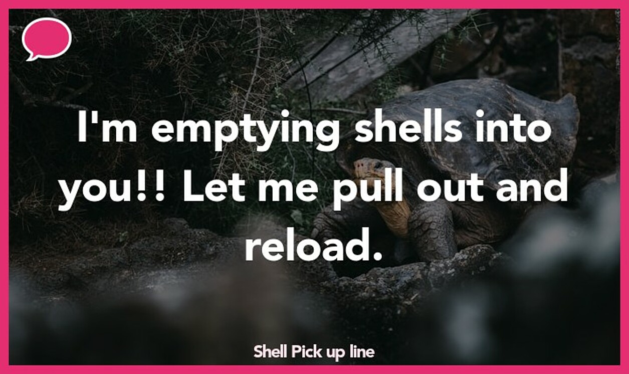 shell pickup line