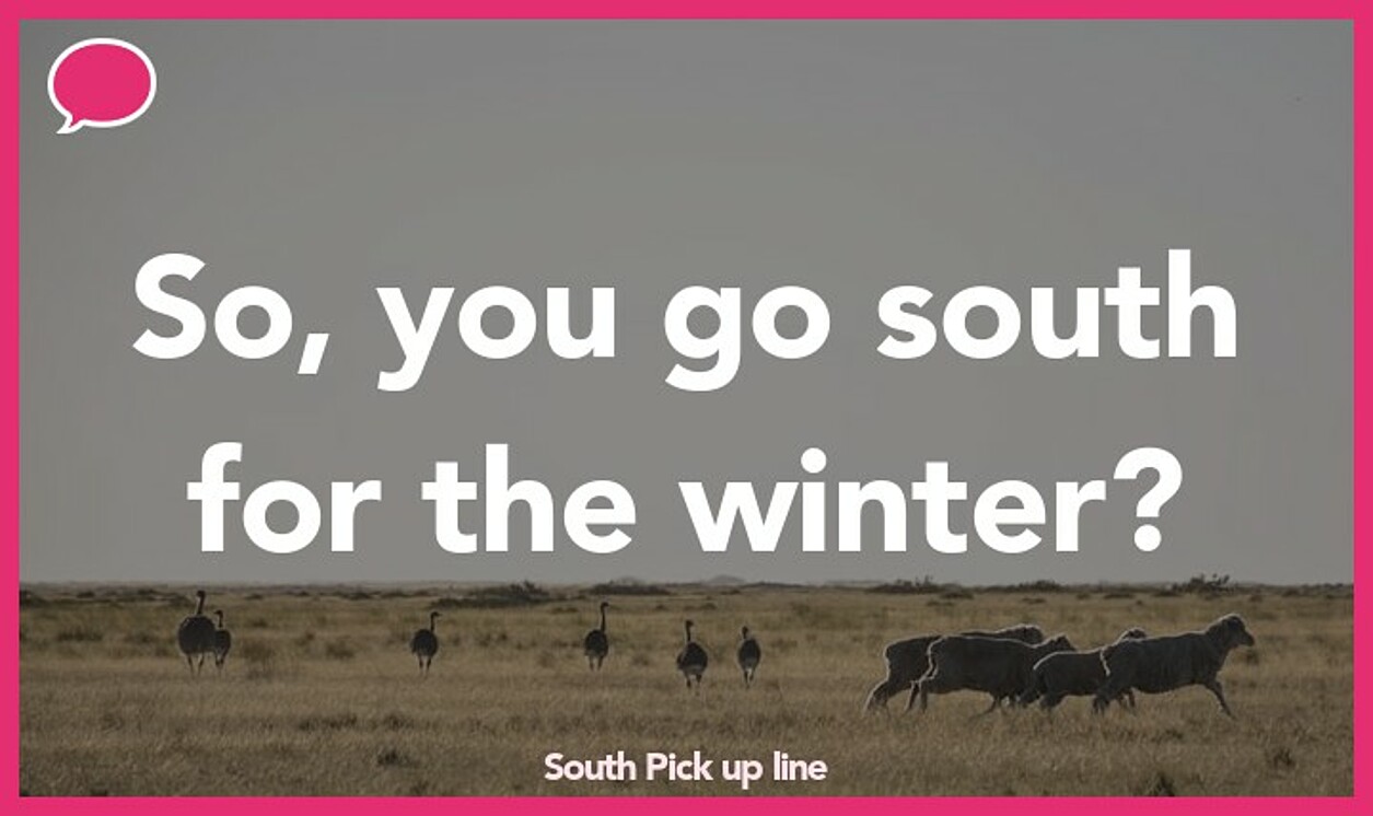 south pickup line