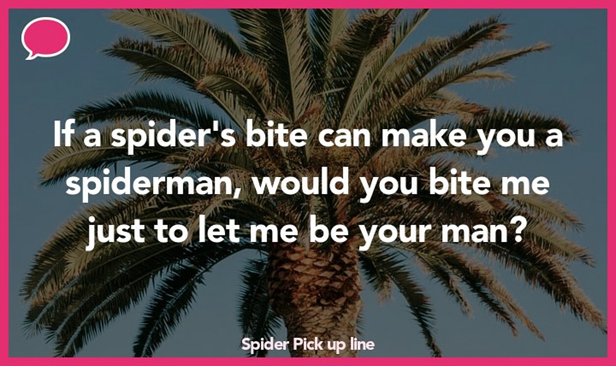 spider pickup line