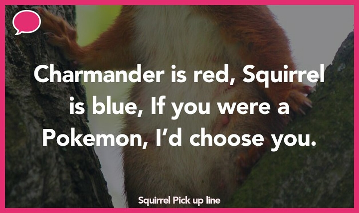 squirrel pickup line