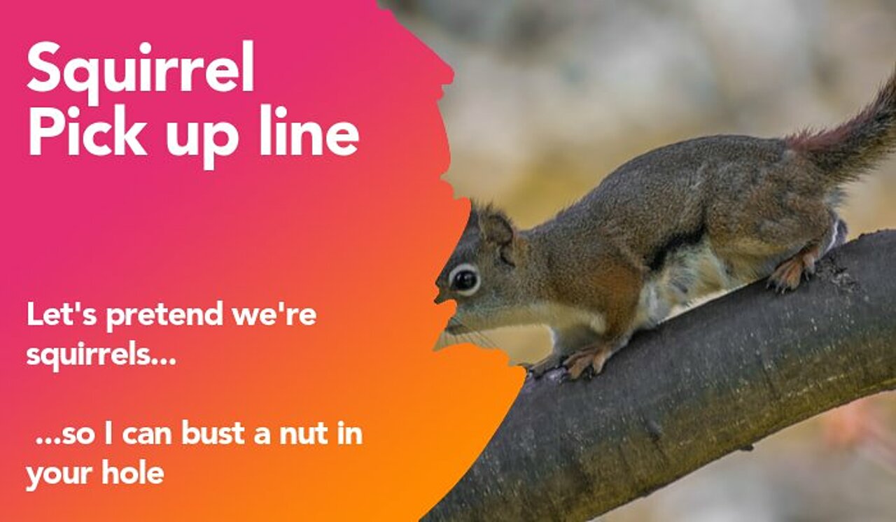 squirrel pickup line