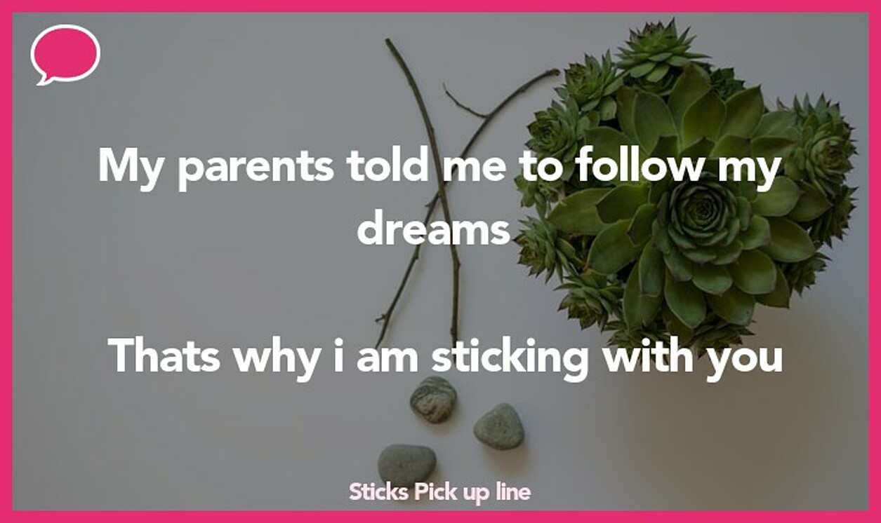 sticks pickup line