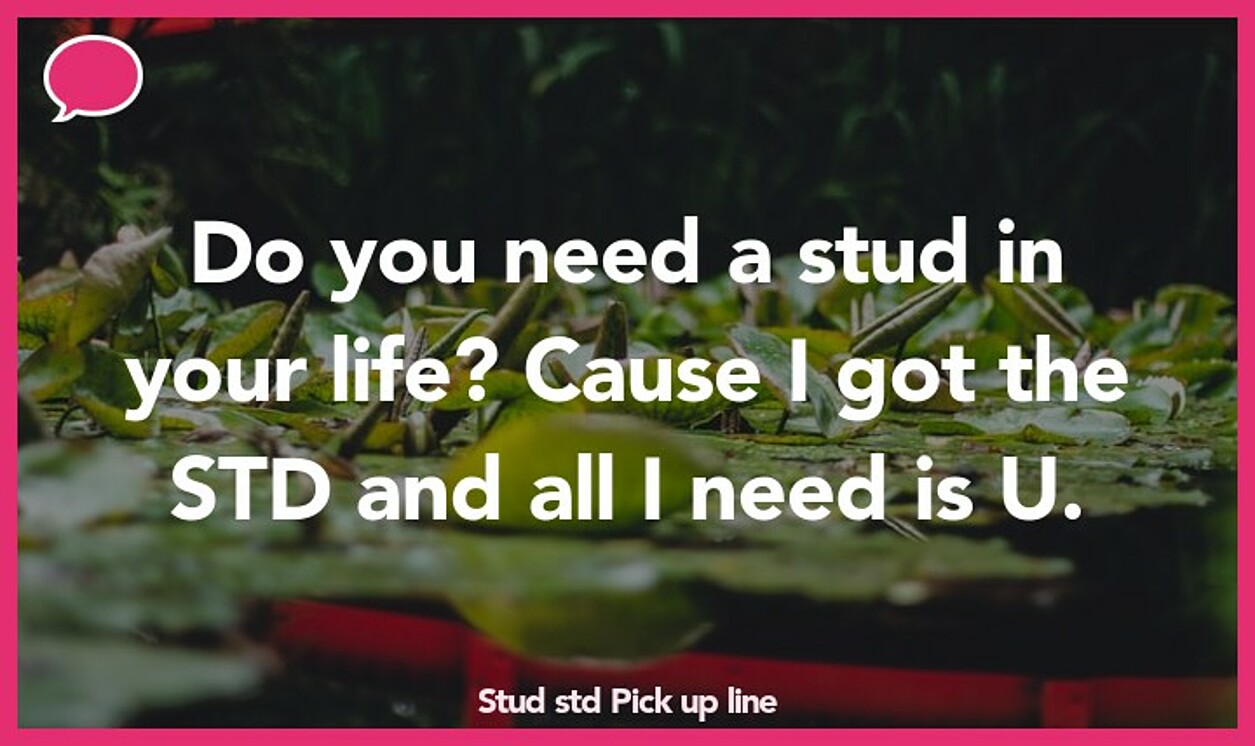 stud std pickup line