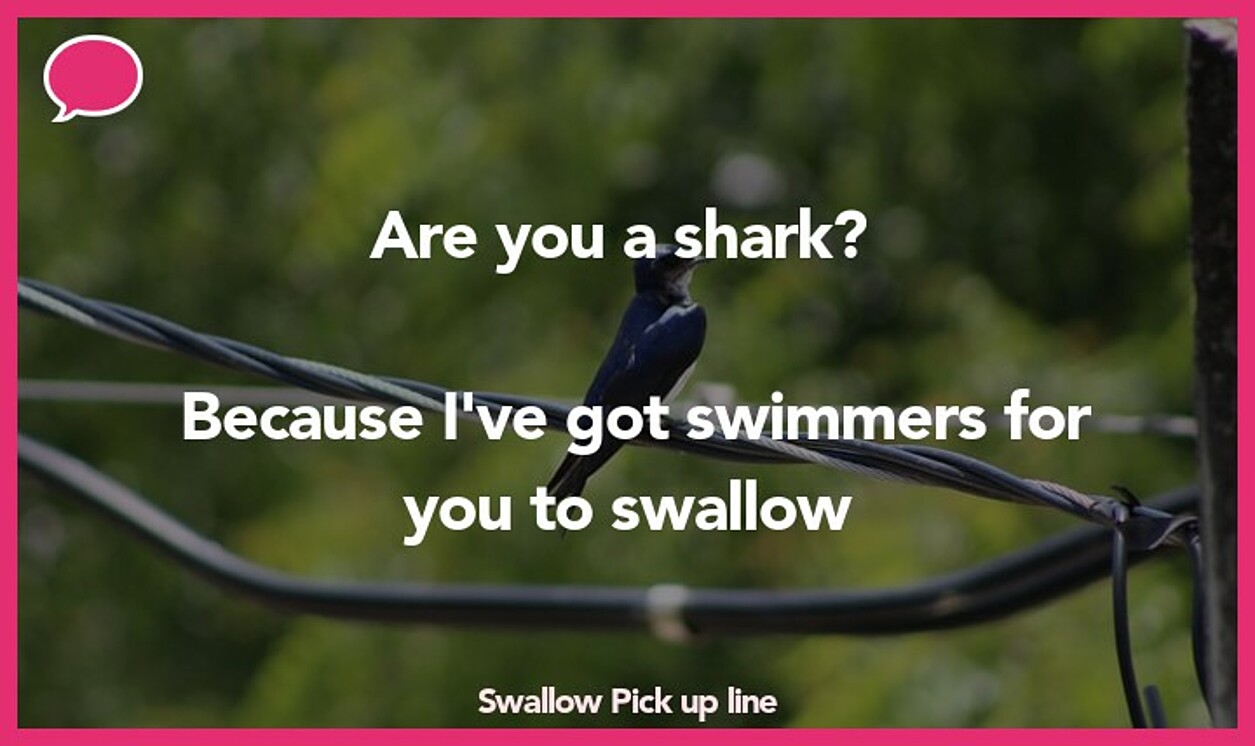 swallow pickup line
