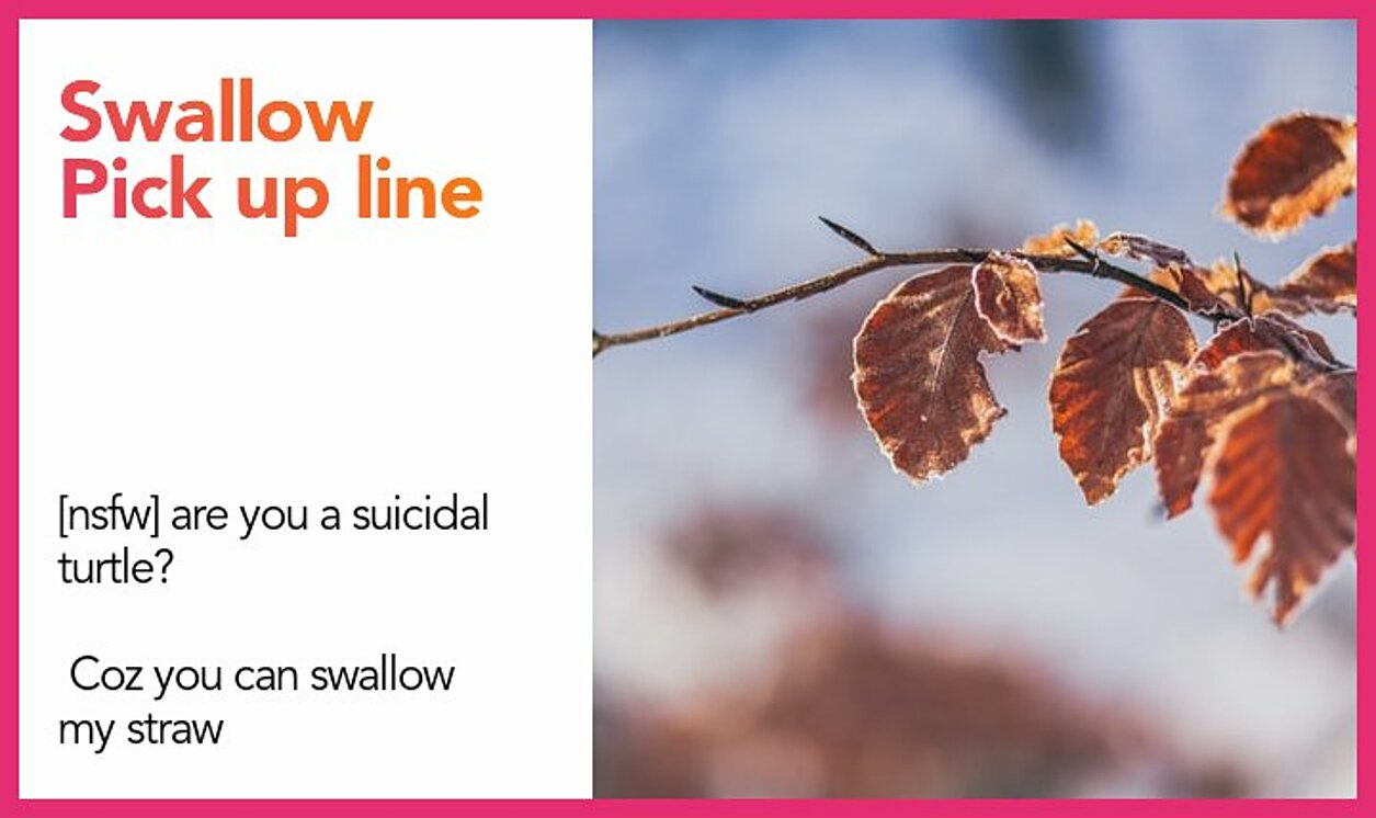 swallow pickup line