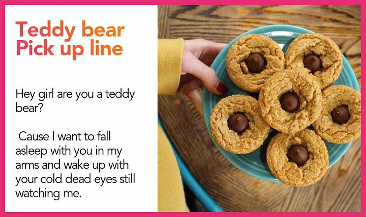 teddy bear pickup line