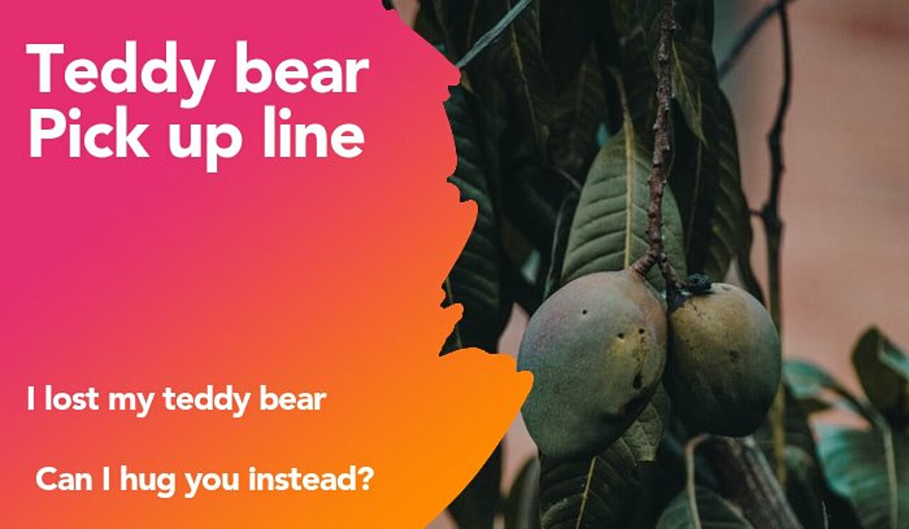 teddy bear pickup line