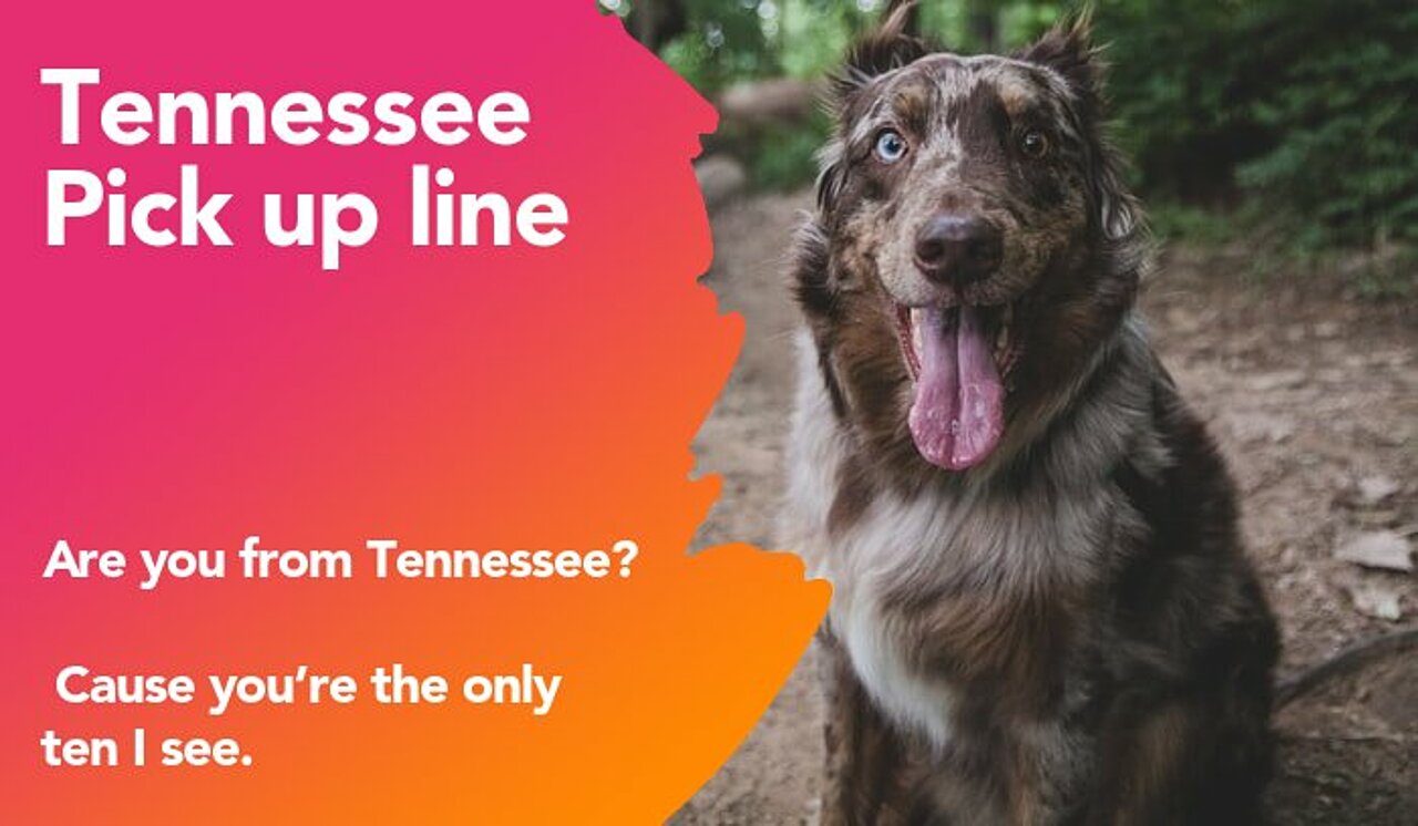 tennessee pickup line