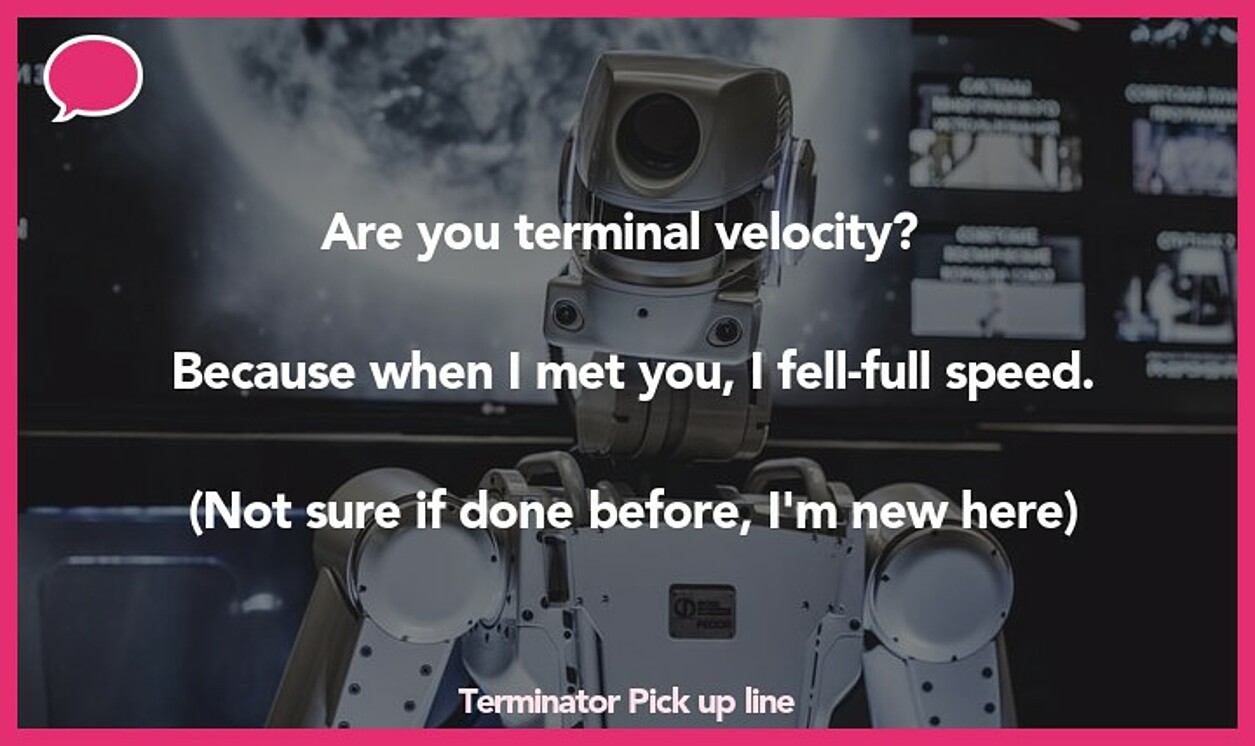 terminator pickup line