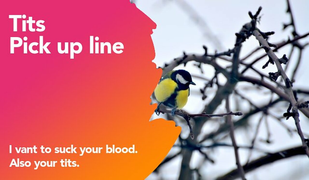 tits pickup line