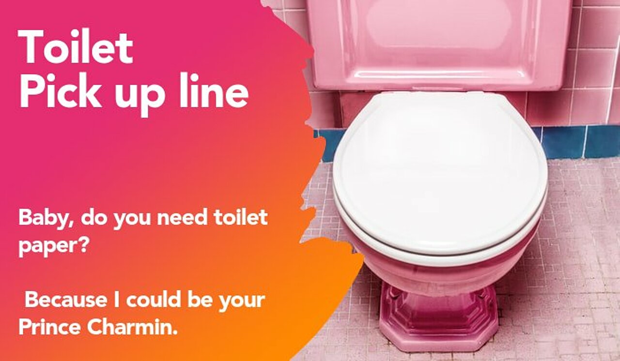 toilet pickup line