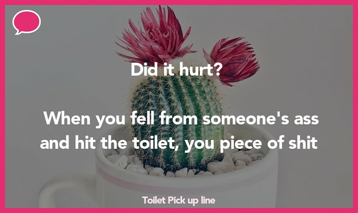 toilet pickup line