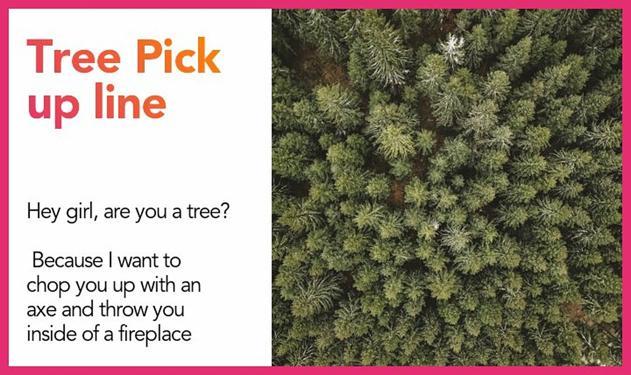 tree pickup line