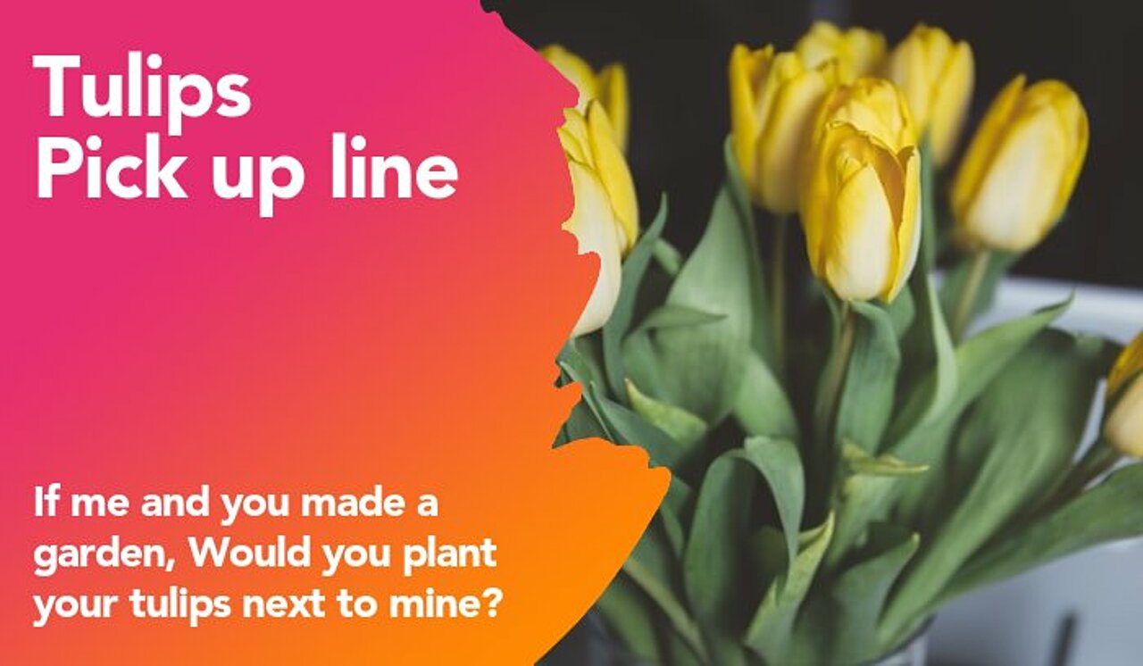 tulips pickup line