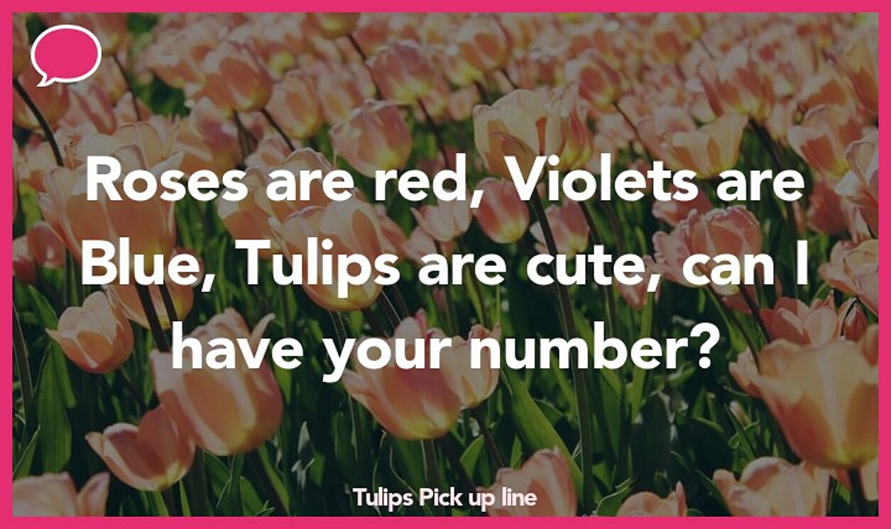 tulips pickup line