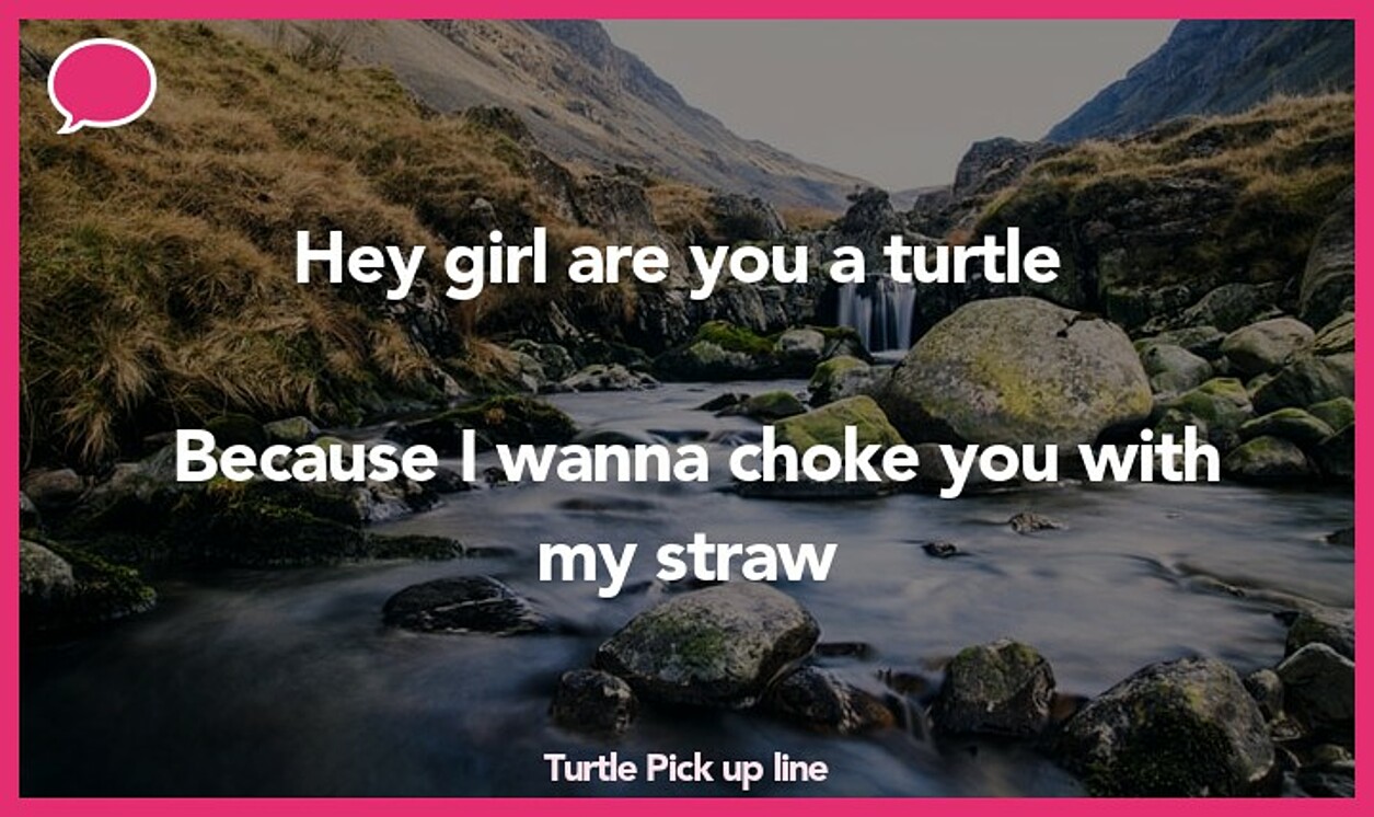 turtle pickup line