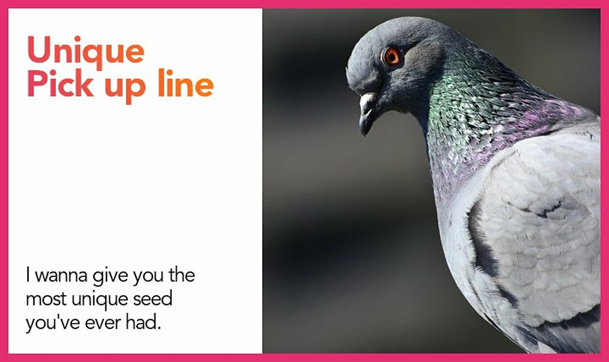 unique pickup line