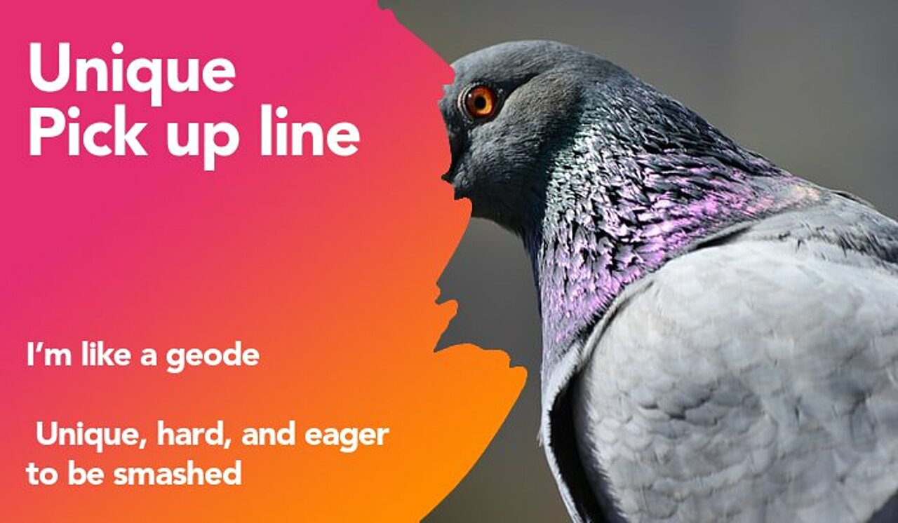 unique pickup line