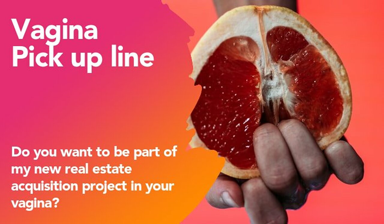 vagina pickup line