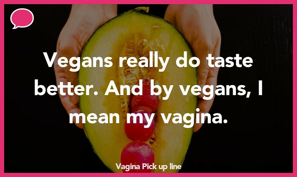 vagina pickup line