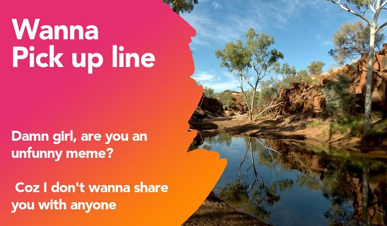 wanna pickup line