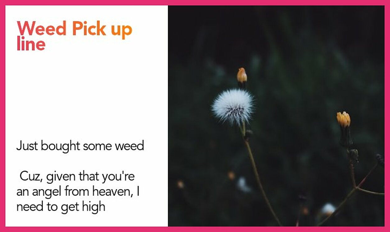 weed pickup line