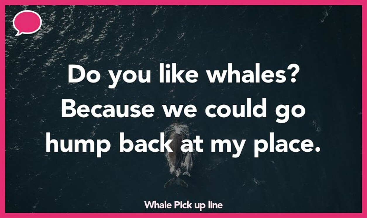 whale pickup line