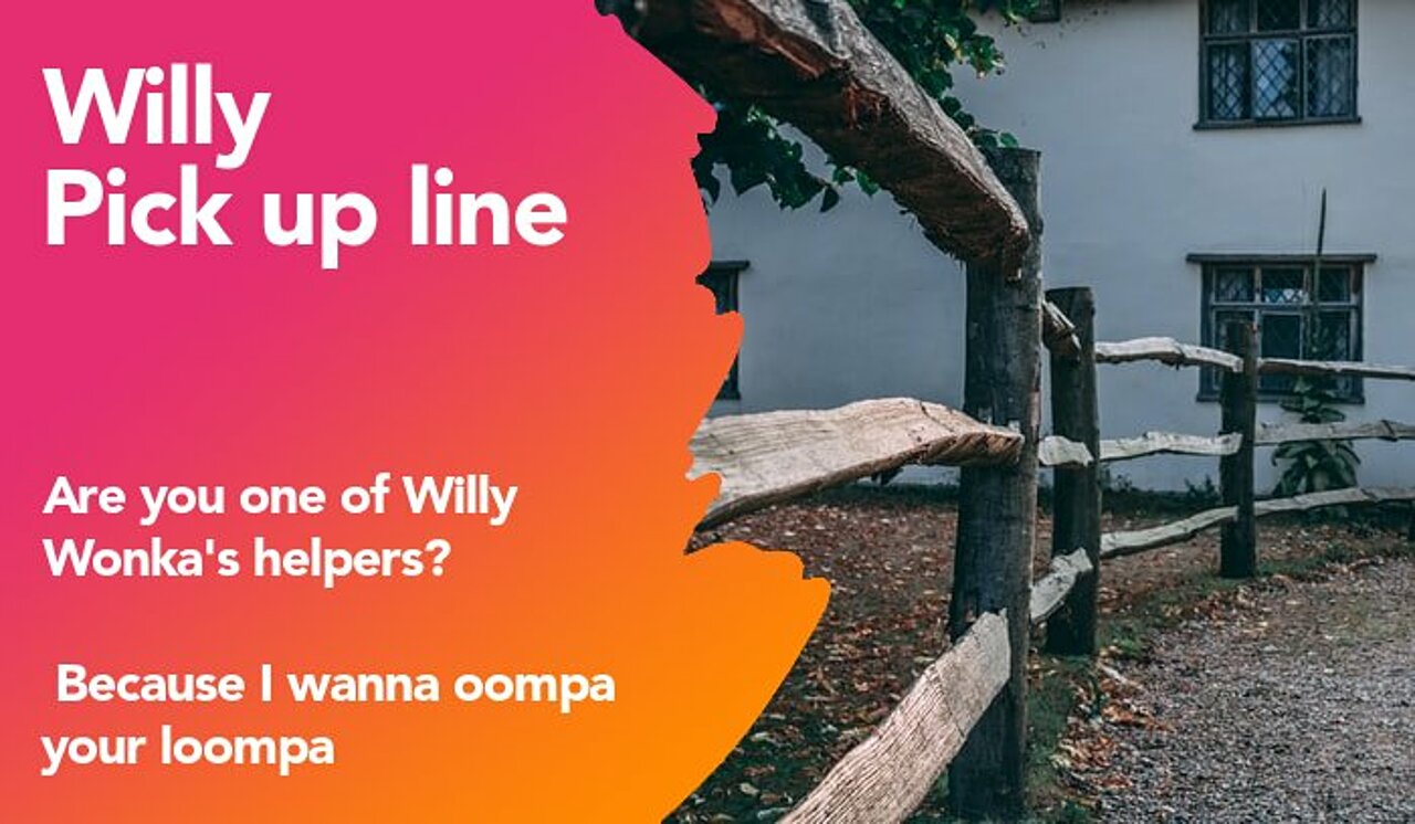 willy pickup line